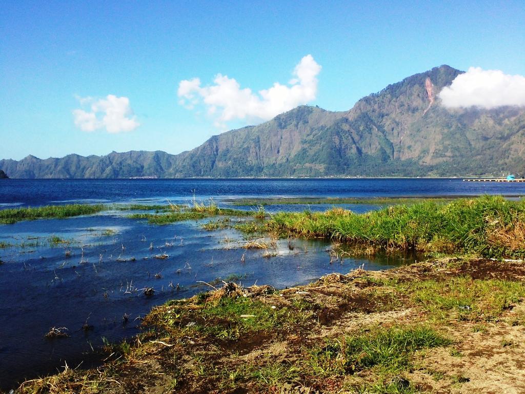 巴厘岛自然寄宿旅馆 金巴兰 外观 照片