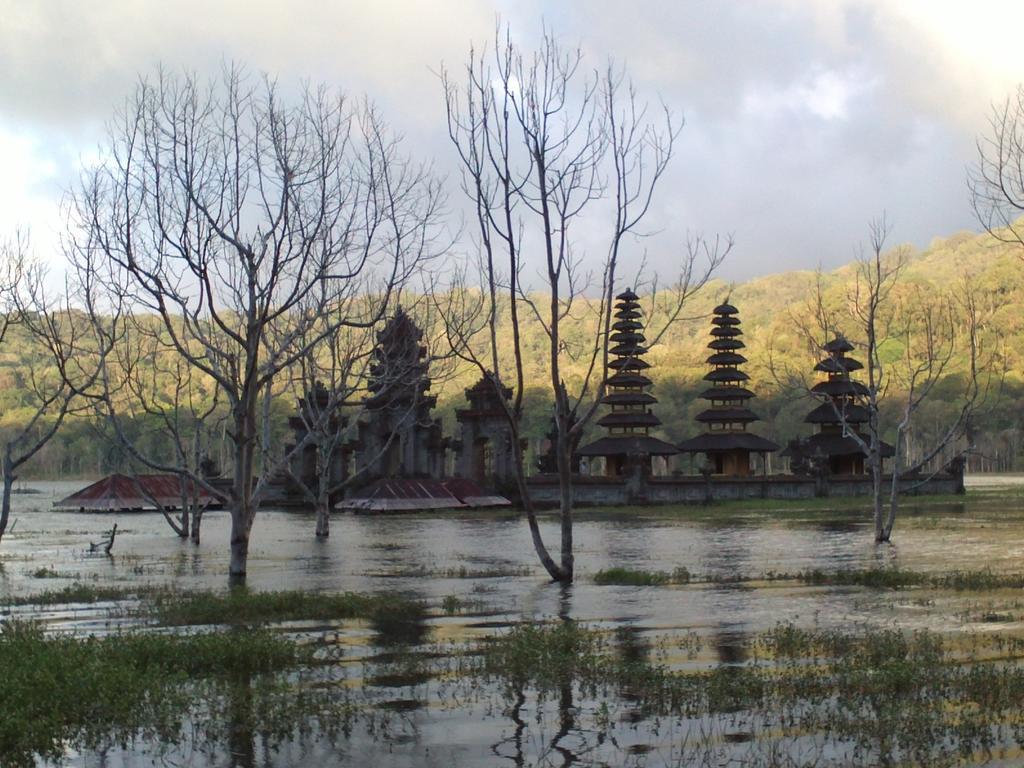 巴厘岛自然寄宿旅馆 金巴兰 外观 照片